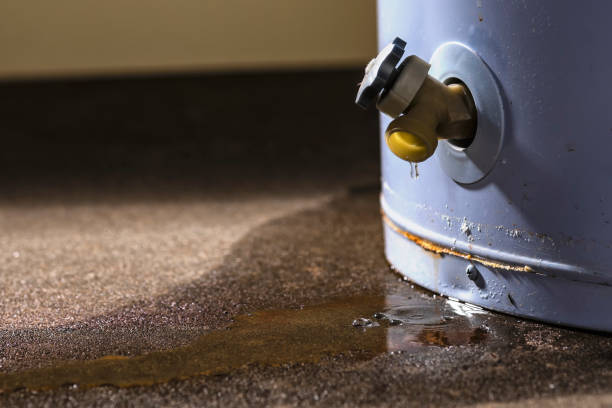 Best Flood damage cleanup  in Urbana, OH