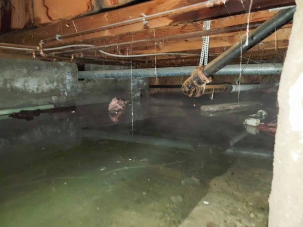 Best Flooded house restoration  in Urbana, OH