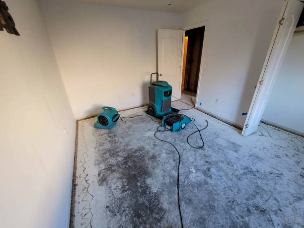 Best Water damage restoration company  in Urbana, OH
