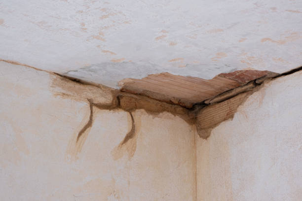 Best Water damage cleanup near me  in Urbana, OH