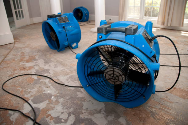 Best Basement water damage restoration  in Urbana, OH