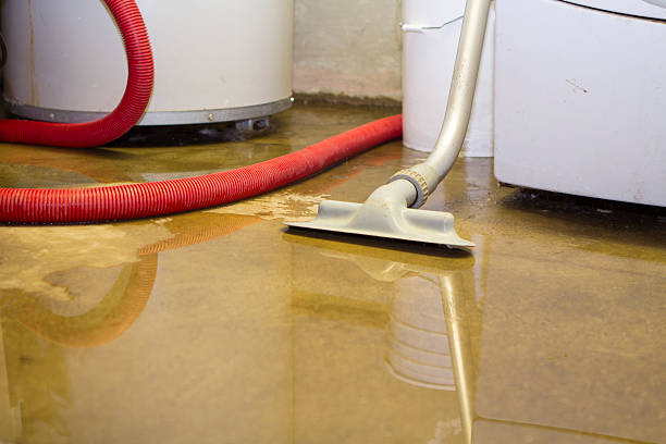 Best Flood damage cleanup  in Urbana, OH