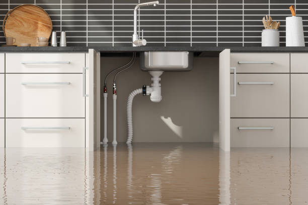 Best Water damage restoration company  in Urbana, OH