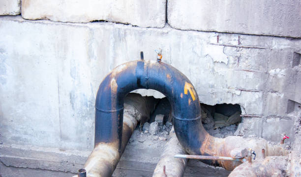 Best Local water damage restoration  in Urbana, OH