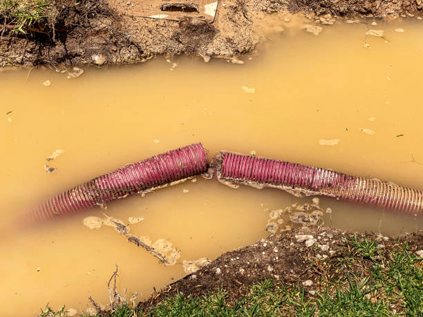 Best 24-hour water damage restoration  in Urbana, OH